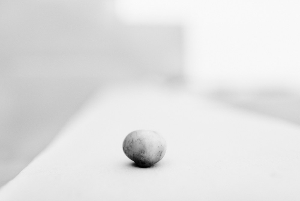 Versus num 1716, 2009