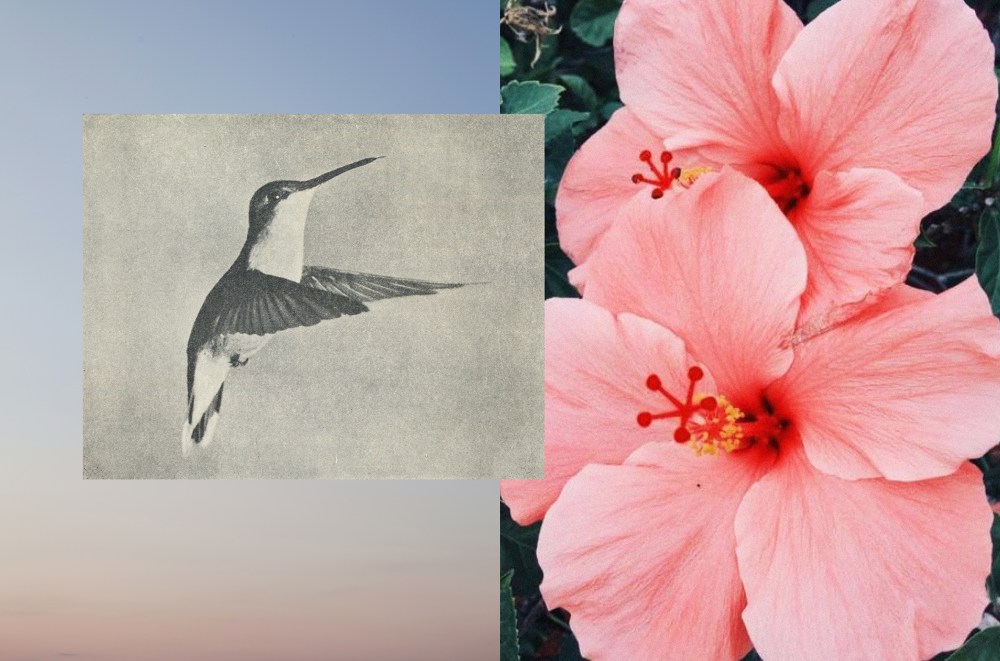 11_Niina Vatanen Time Atlas_rgb