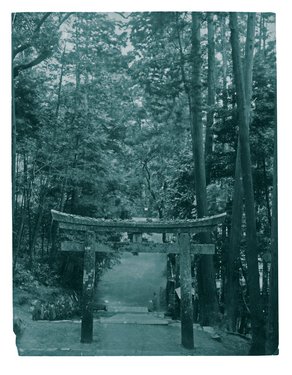 16-568702-transparent (1)