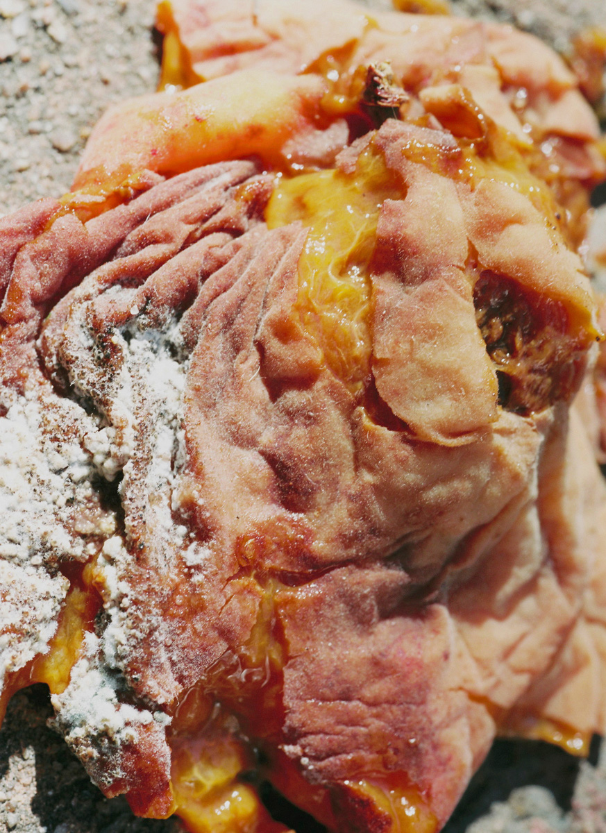 1stchoice-lucile-boiron-WOMB-12