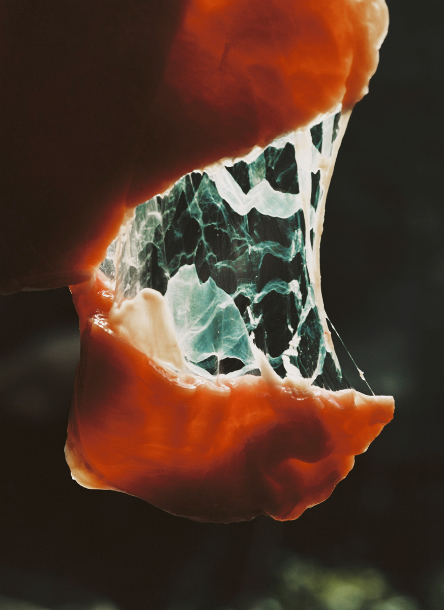 1stchoice-lucile-boiron-WOMB-20