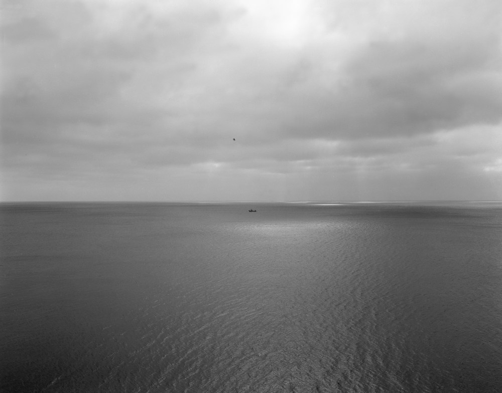 P2490 oce╠üan bateau oiseau !