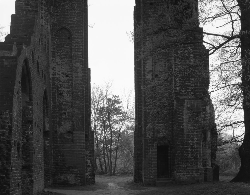 P3111 Eldena colonnes !