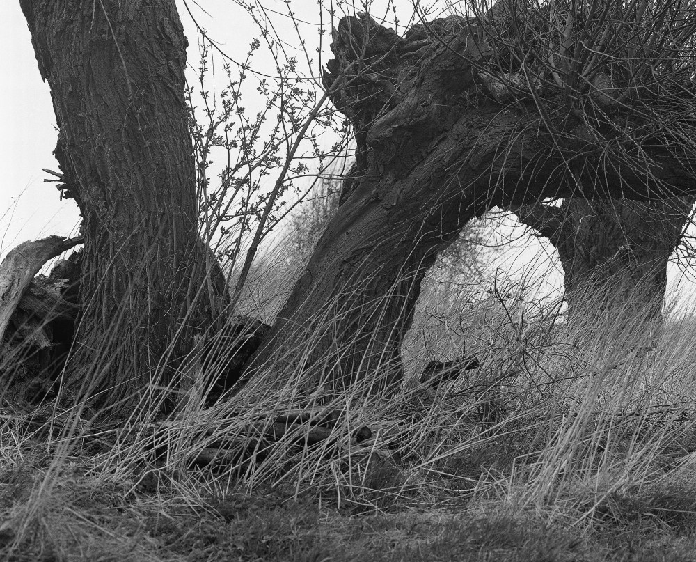 R0487'05 te╠étards pieds d'e╠üle╠üphant !