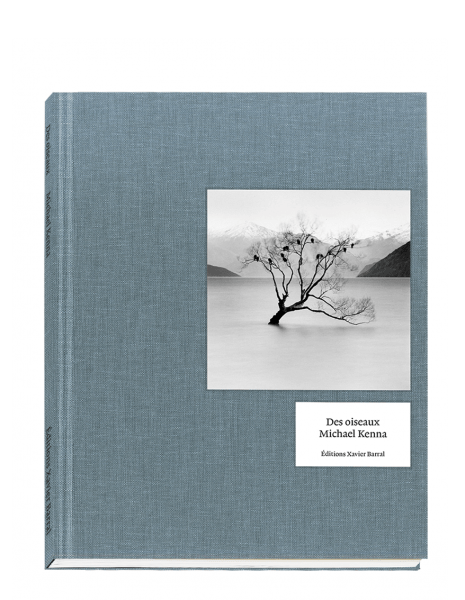des-oiseaux-michael-kenna.jpg