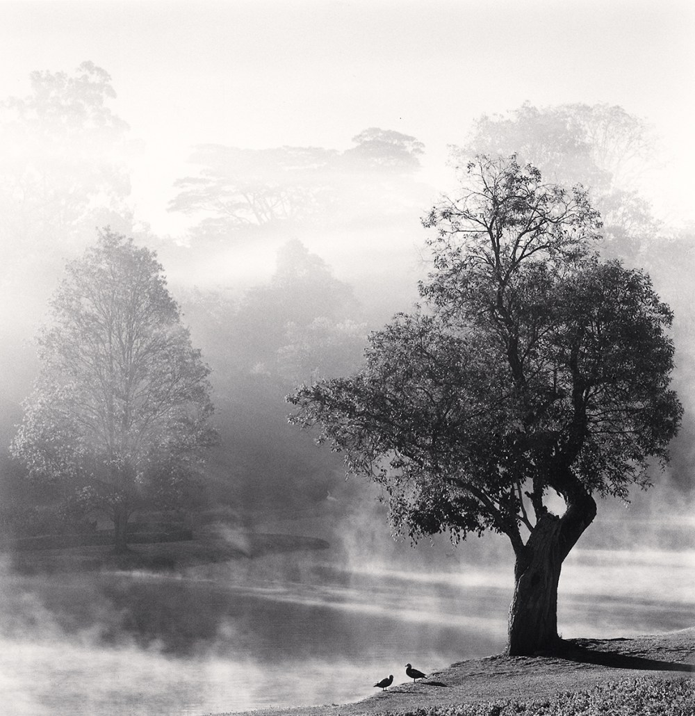 Morning Mists, Pyin U Lwin, Myanmar. 2019