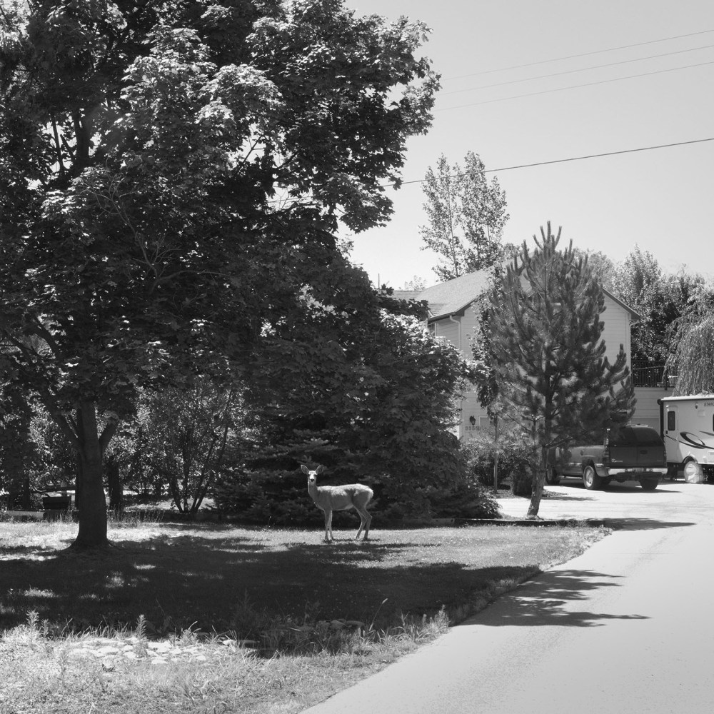 Rearick_TrueWest_9791096575138_IMG4