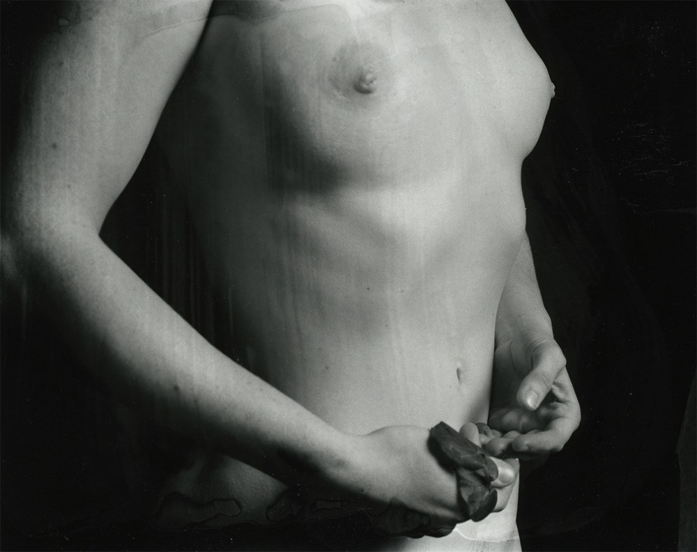 vague-reve-maria-baoli-judith-hands-h800_1010