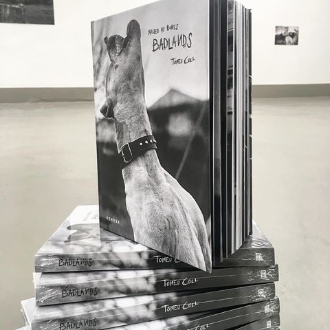 73713648_102305411204034_4763105148253293294_n