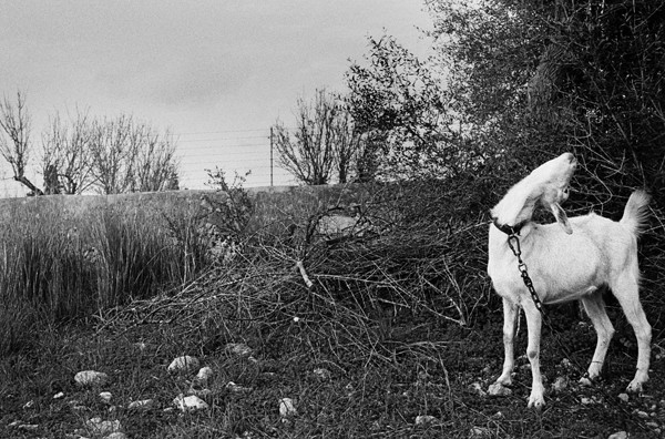 8_badlands_tcoll_ds_ws