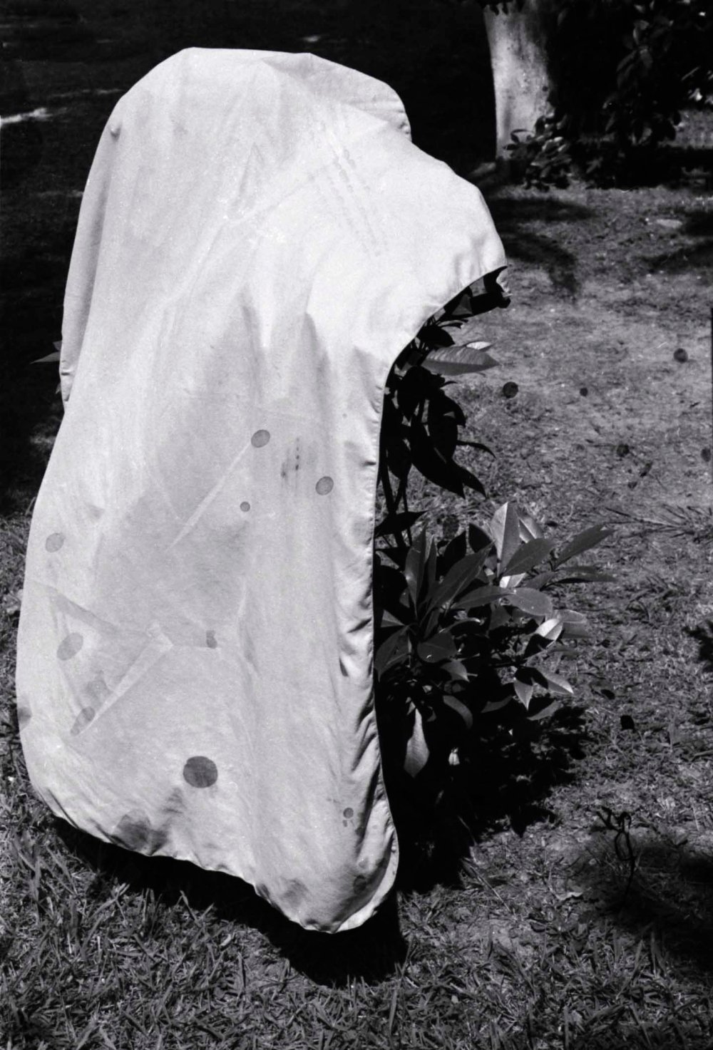 1towel, noctuary, 2019, Renée Lorie