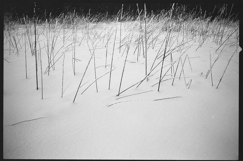 9 Gates of No Return