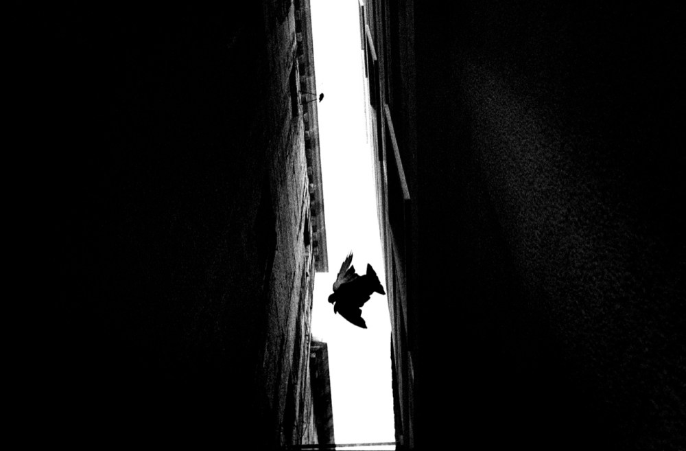 B-MotherLand-L'Orage-8