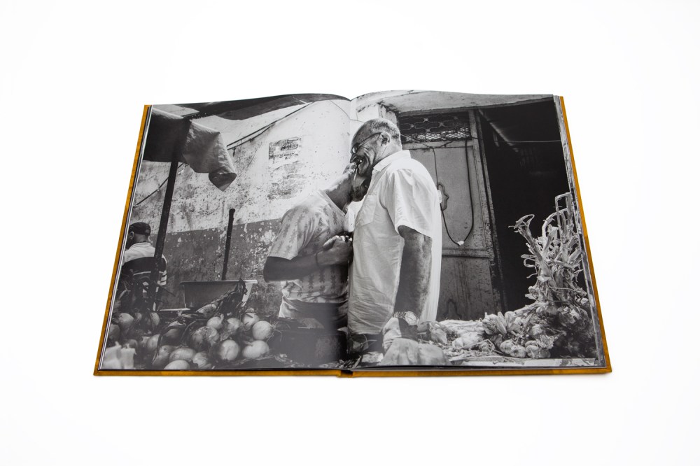 Deglet-Nour-Tytus-Grodzicki