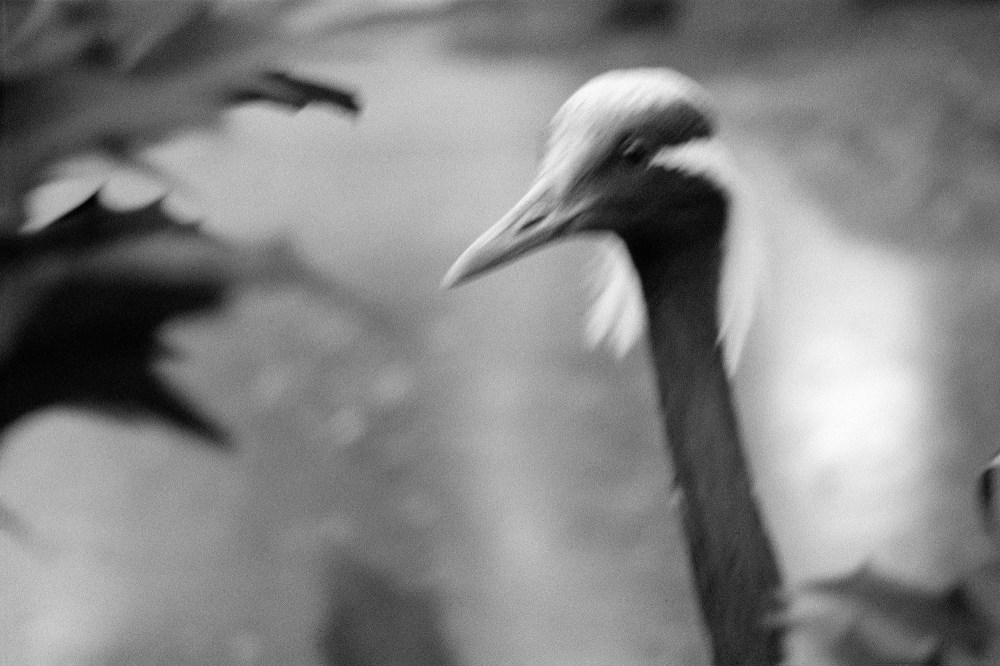 Frédérique Dimarco_Le tendre espace_3