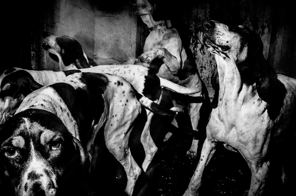 MonferierElie_BlackBlood-3