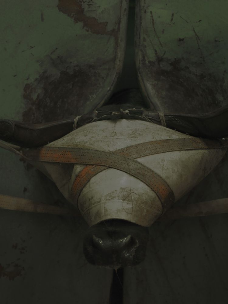 a2ed2513-56cd-4758-b8e5-df43df403527