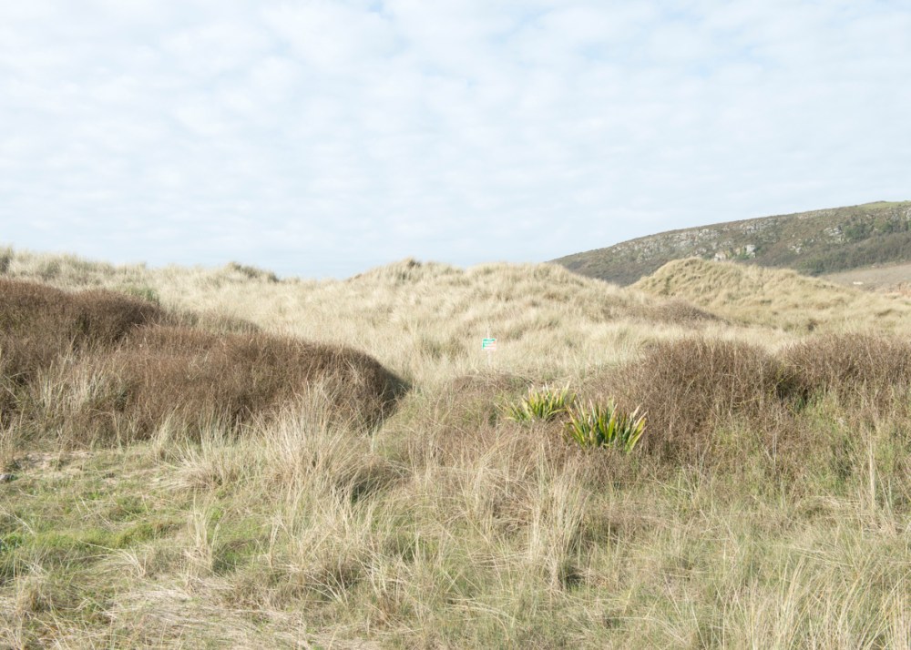 Antoine Cardi_Le Rozel-7