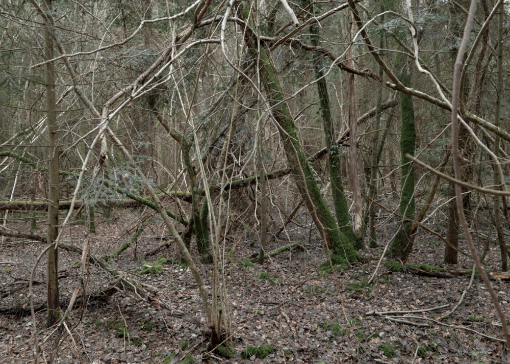 Antoine Cardi_L'Ho╠éme-Chamondot-3