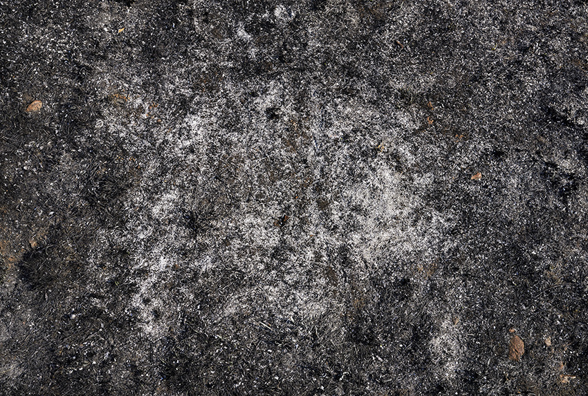 © Eric Bourret - walk - Landscape 6 - Cradle of Humankind - South Africa 2016 - 167