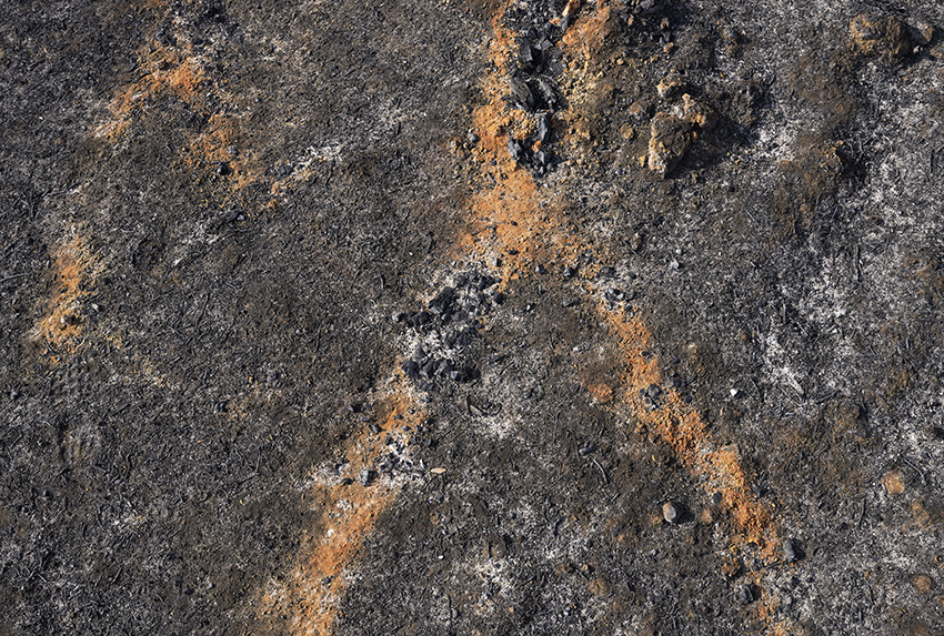 © Eric Bourret - walk - Landscape 6 - Cradle of Humankind - South Africa 2016 - 31