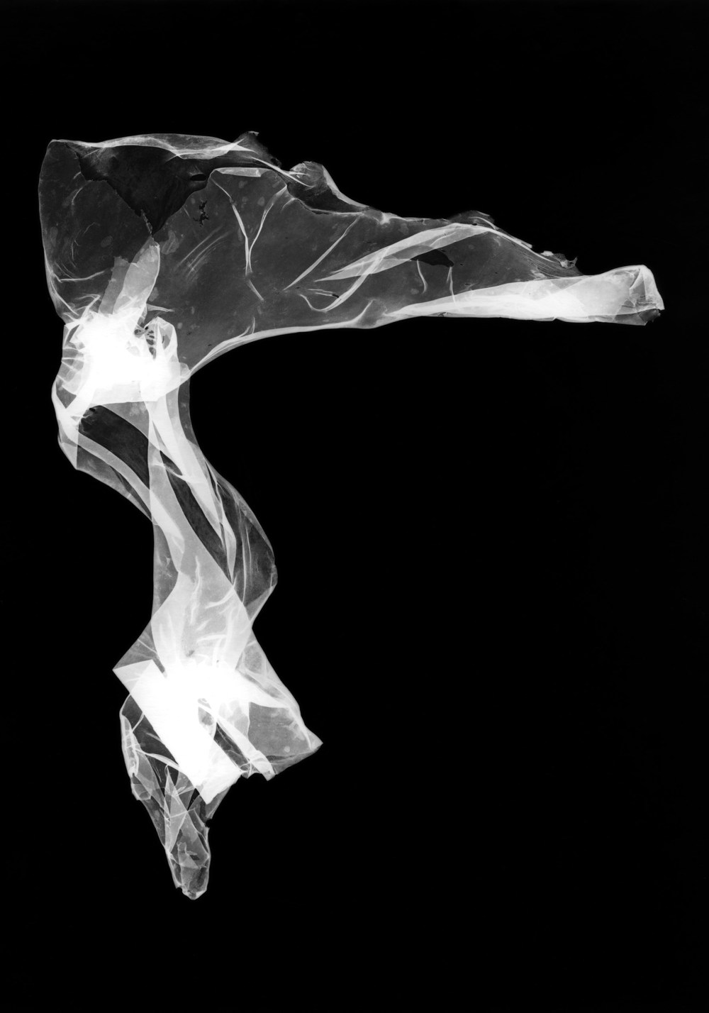 DefEauxsombresAnadyomeneVoile