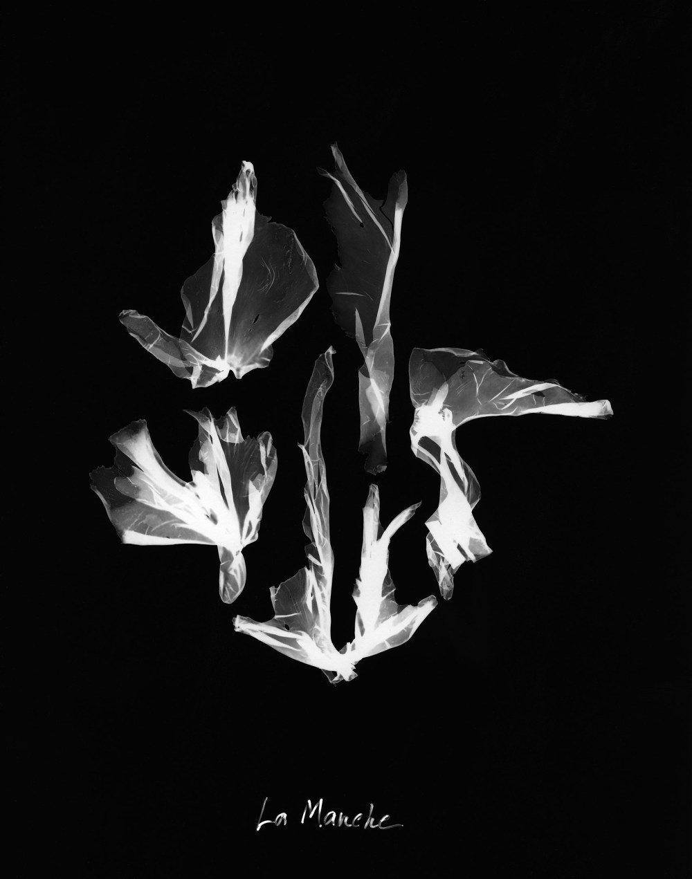 DefEauxsombresManche