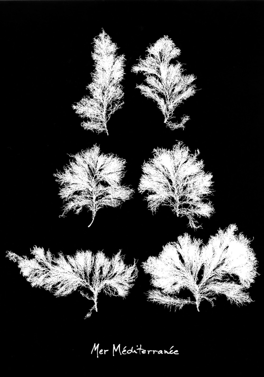 DefEauxsombresMediterranée