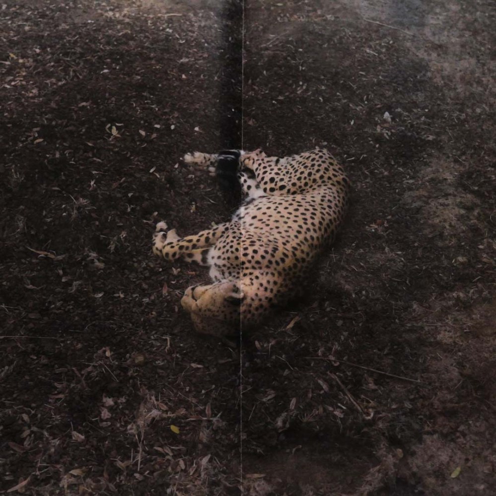 Finisterrae-by-Michele-Palazzi-tipibookshop-10