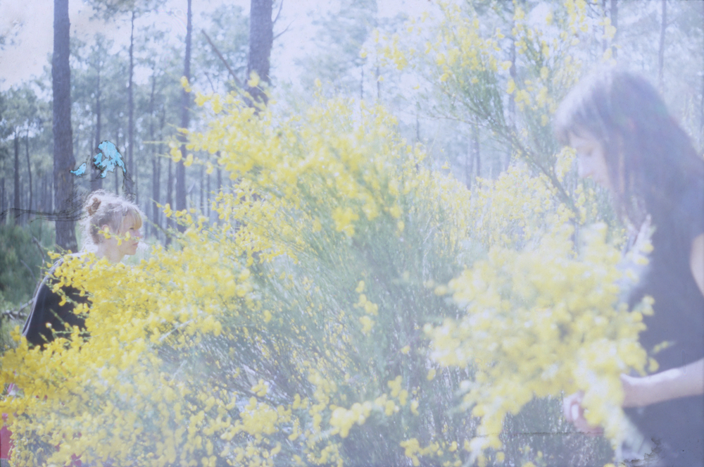 sophie le feu - selection 1- BD (33)