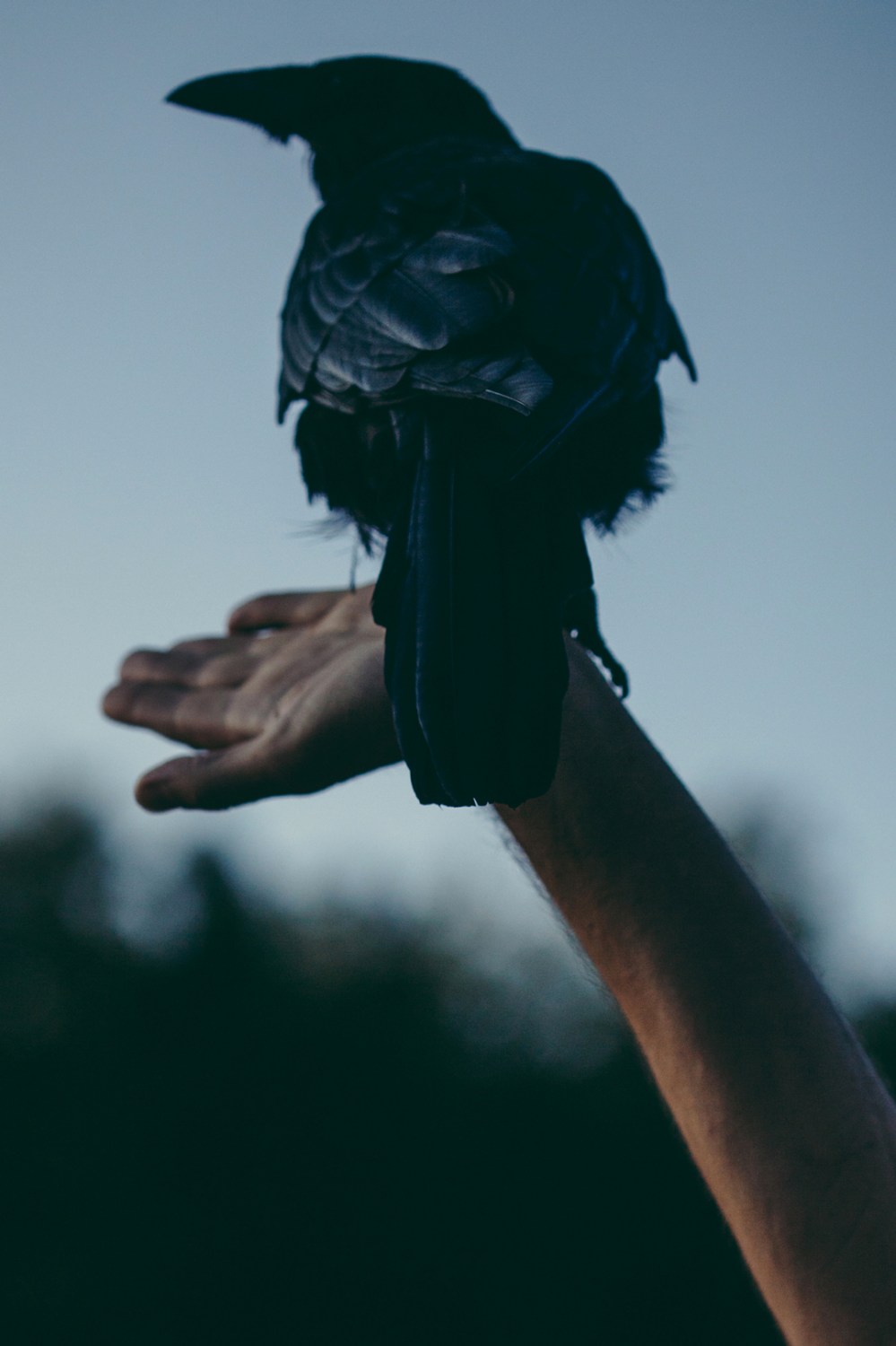 A Sensitive Education_Francesca Todde_04