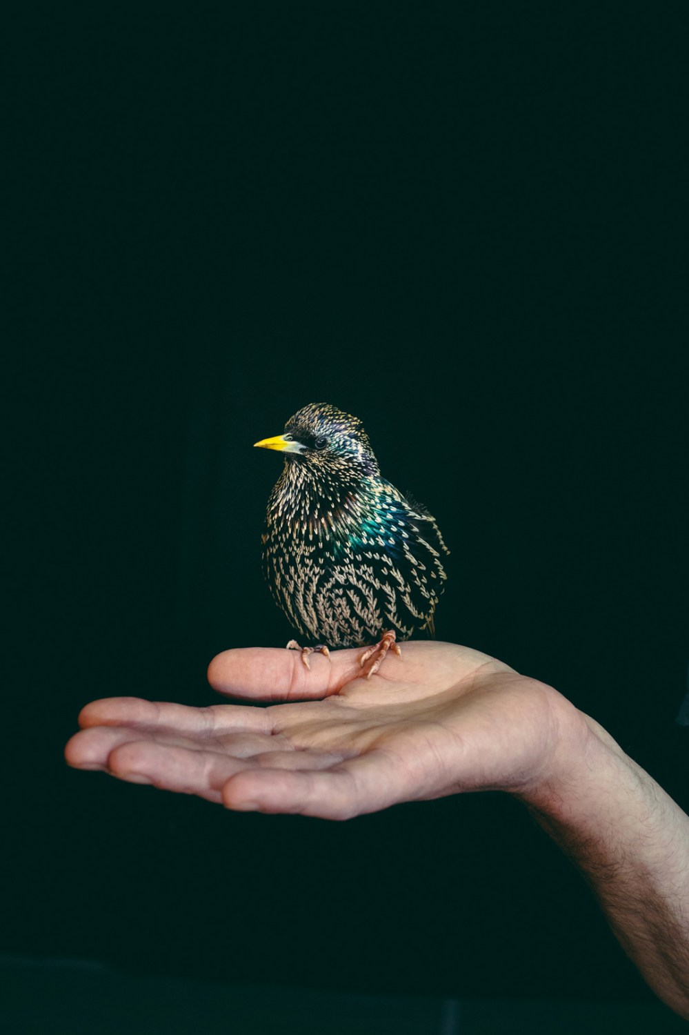 A Sensitive Education_Francesca Todde_14