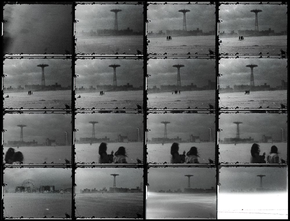 Adam_Grossman_Cohen_1