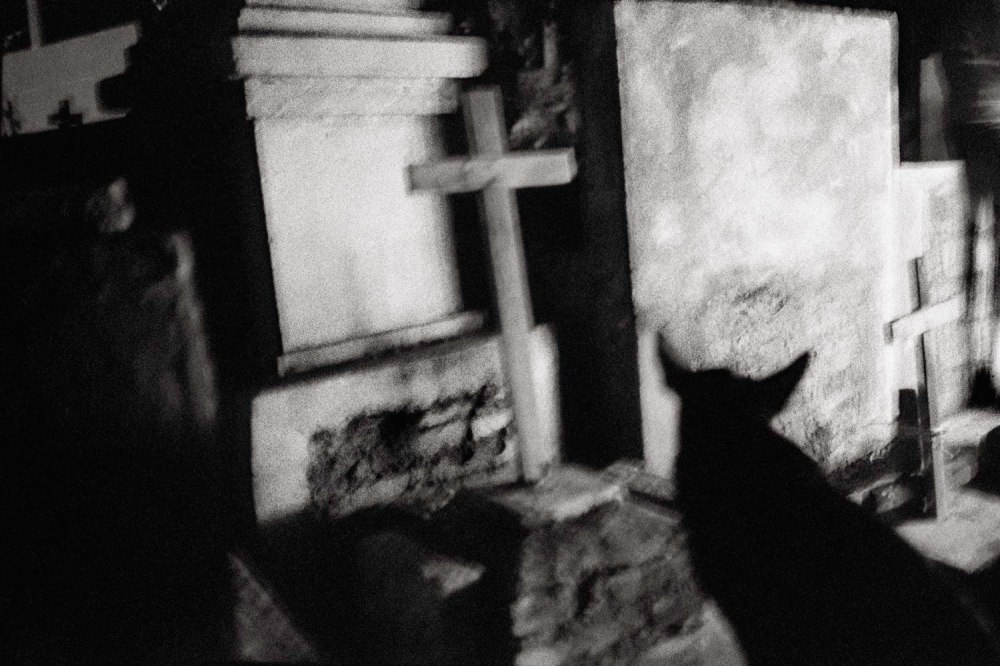 pathos-the-humanistic-photography-of-giorgio-negro-exibart-street-photography-14