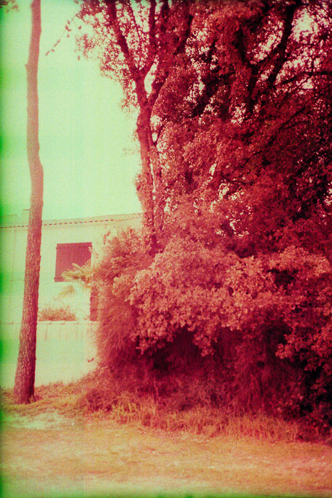 gael_bonnefon_meme_soleil_-16