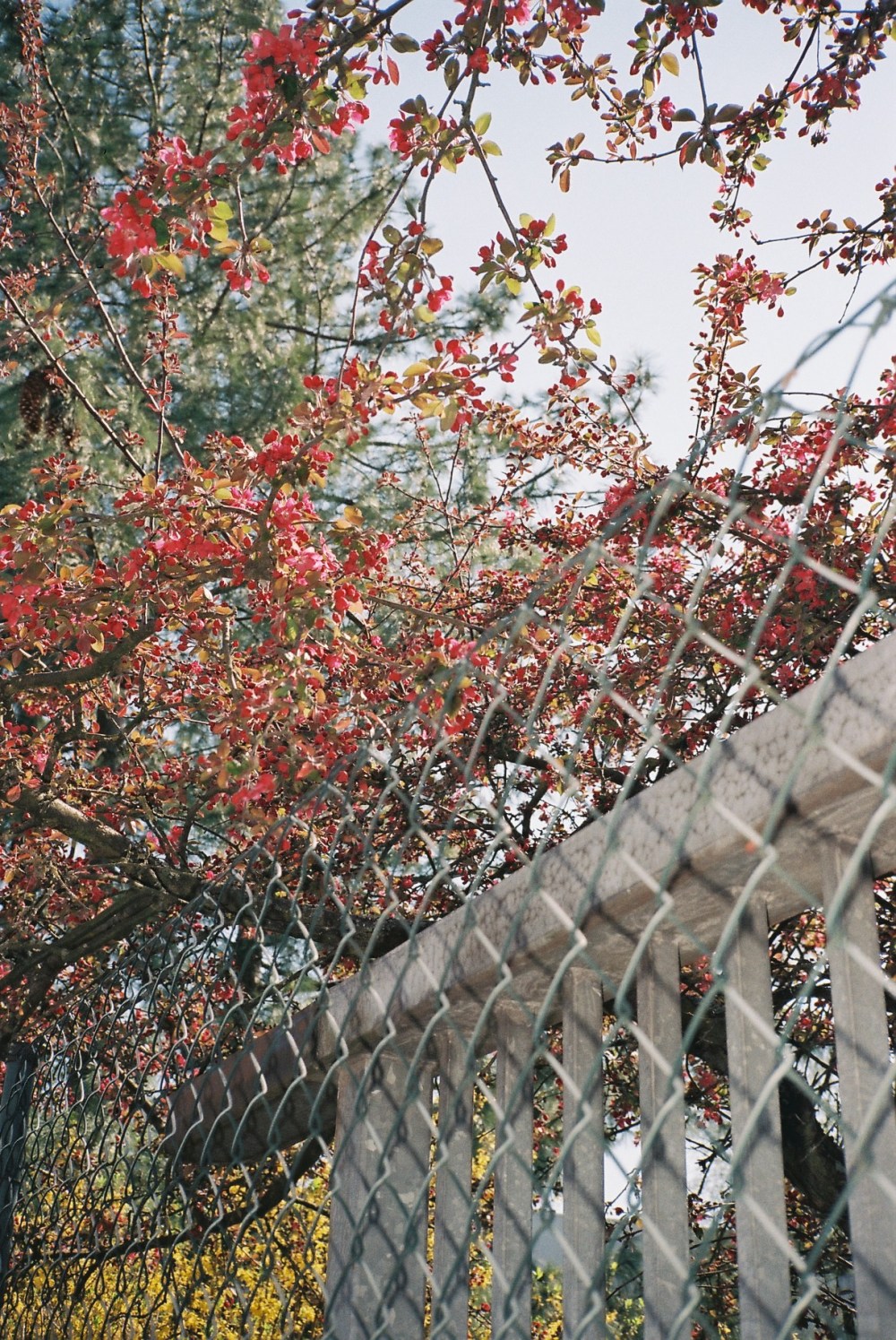 Dietznbach-Nord_NMohadjer9544-25