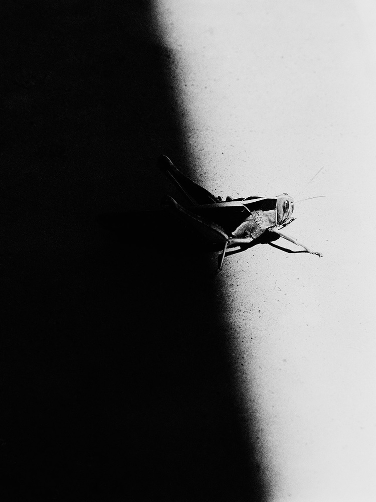 Images from the series Omatandangole. Copyright: Aapo Huhta