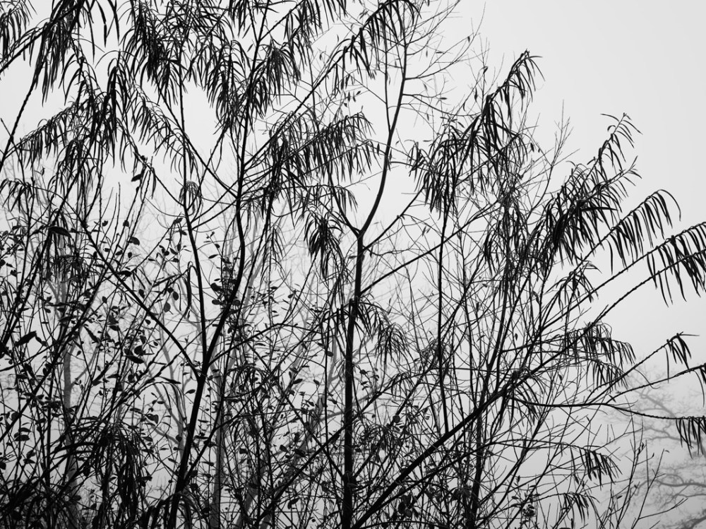 slc_jourscouches_web_18