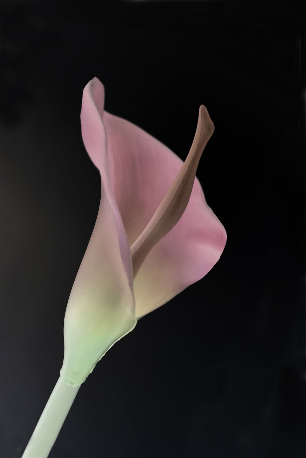 10_Fleur_de_Styrene_2019