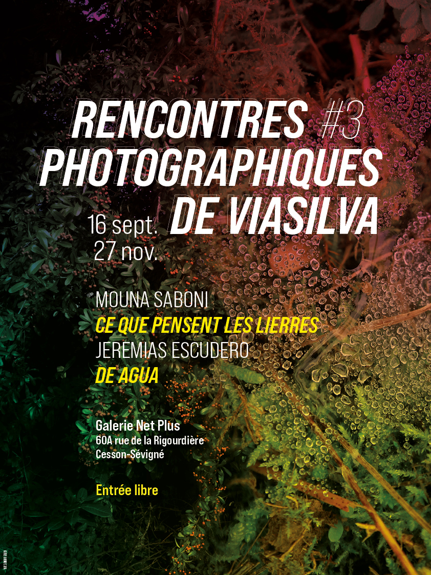 Affiche A3_ViaSilva_2020