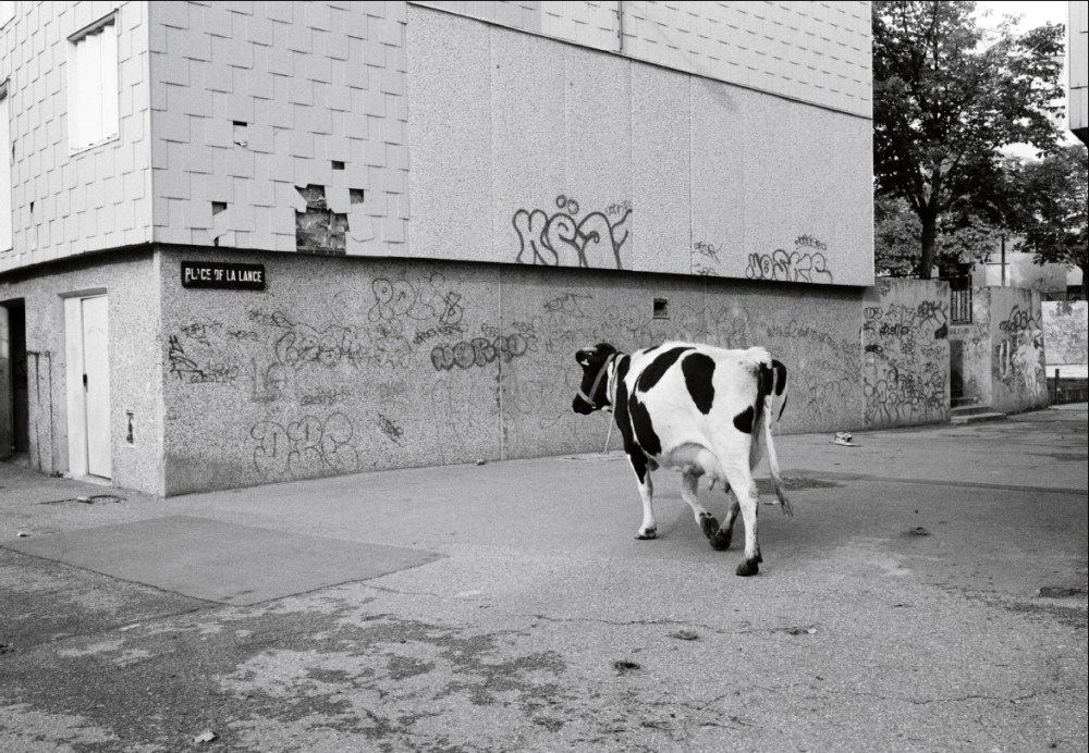 n3©GillesFavier_courtesygalerieClémentinedelaFéronnière