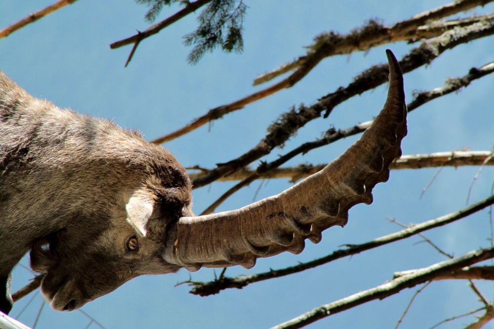 b900e28d277b6bb4eeb16dcf3c2e303a