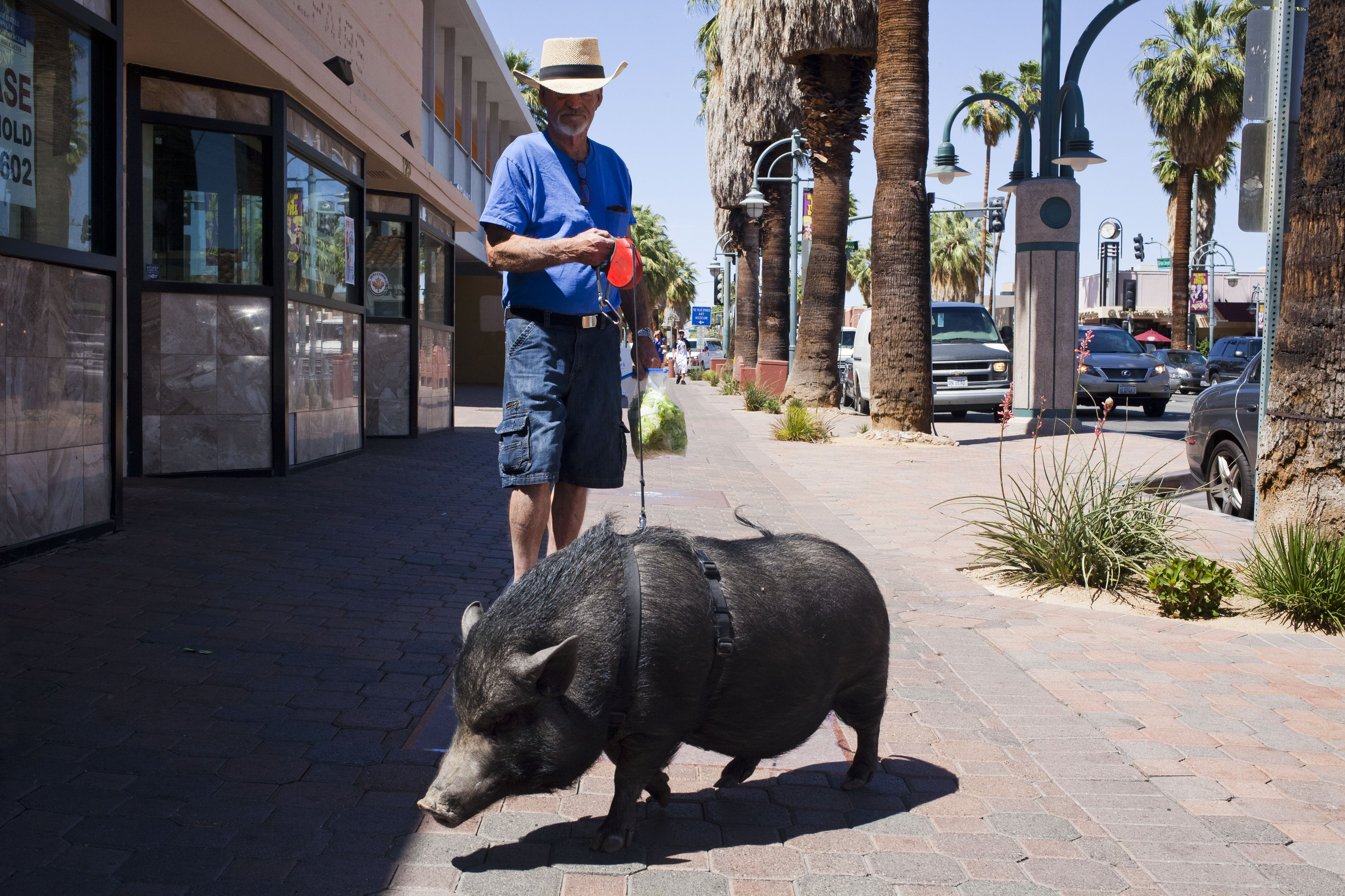 ©EnLEtat_FranckGérard_04