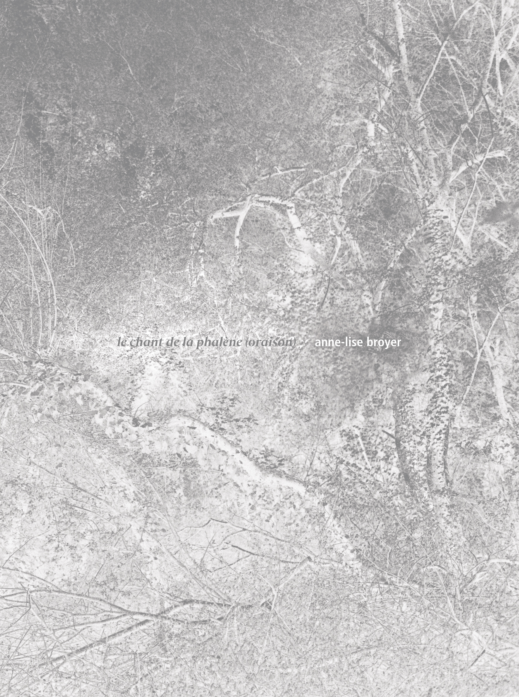 MP_LECHANT_COV_0610 NOR.indd