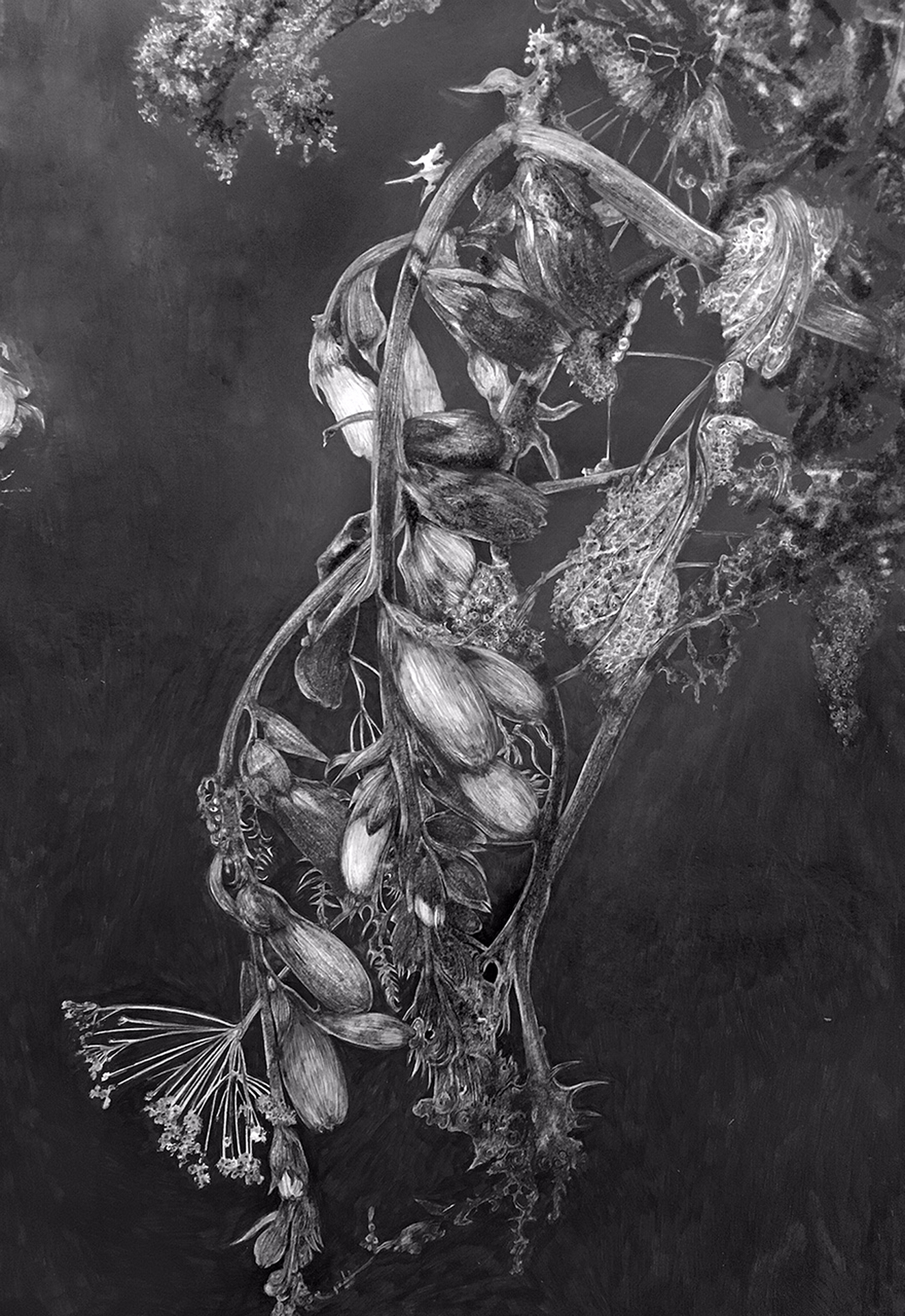 detailI IMG_4992 repro dessin OK Battement