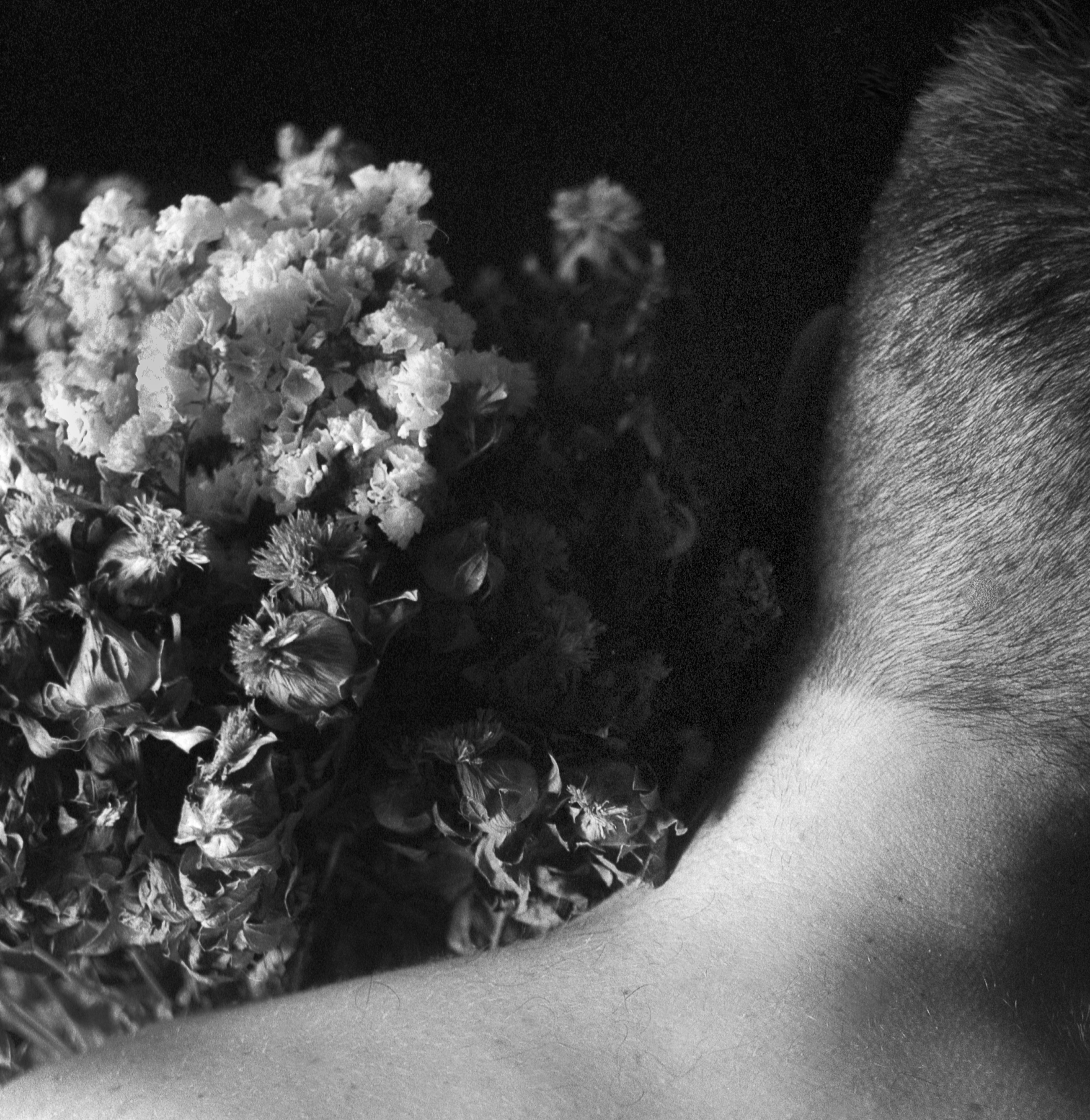 ROBIN_NISSEN_CHRYSALIDE_13