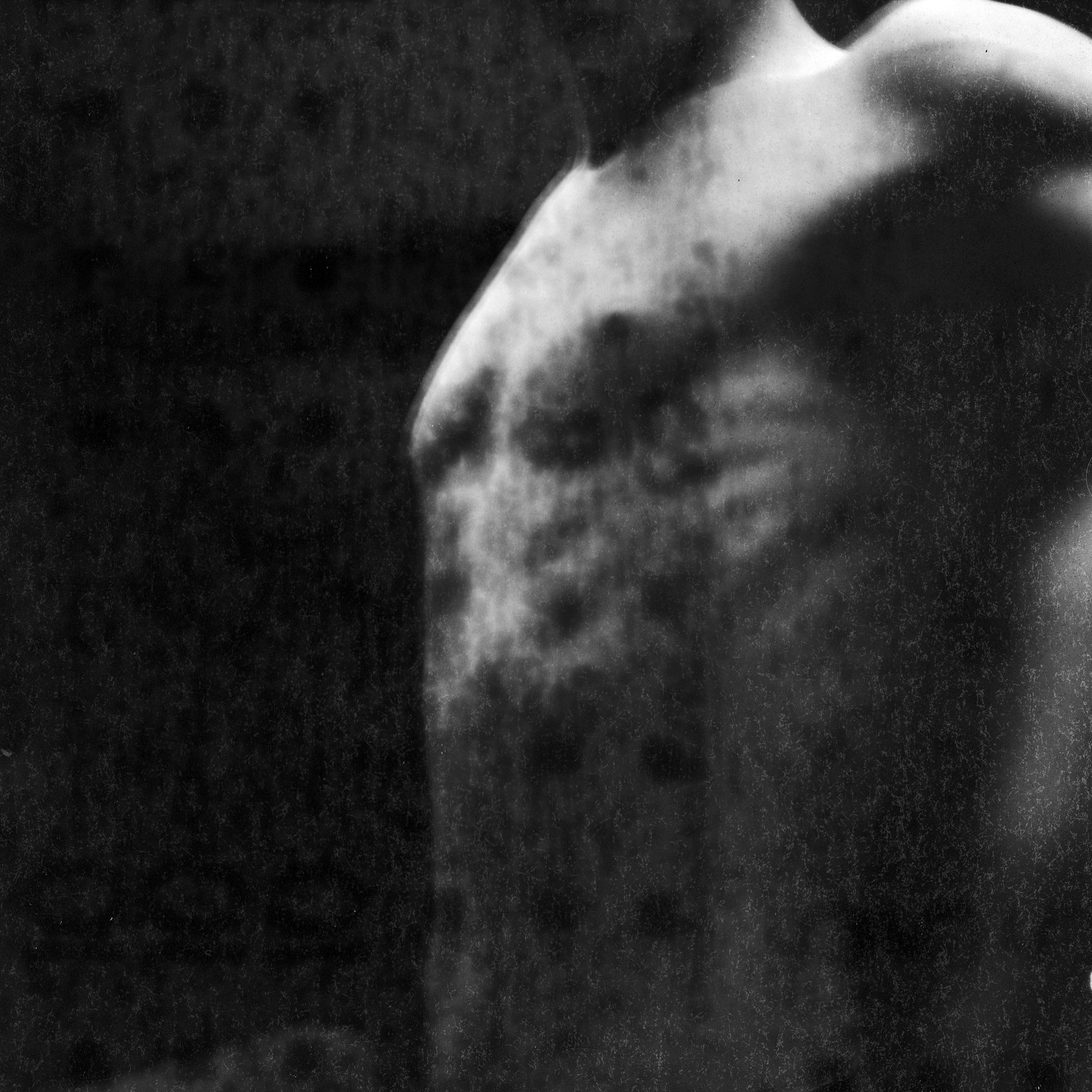 ROBIN_NISSEN_CHRYSALIDE_2