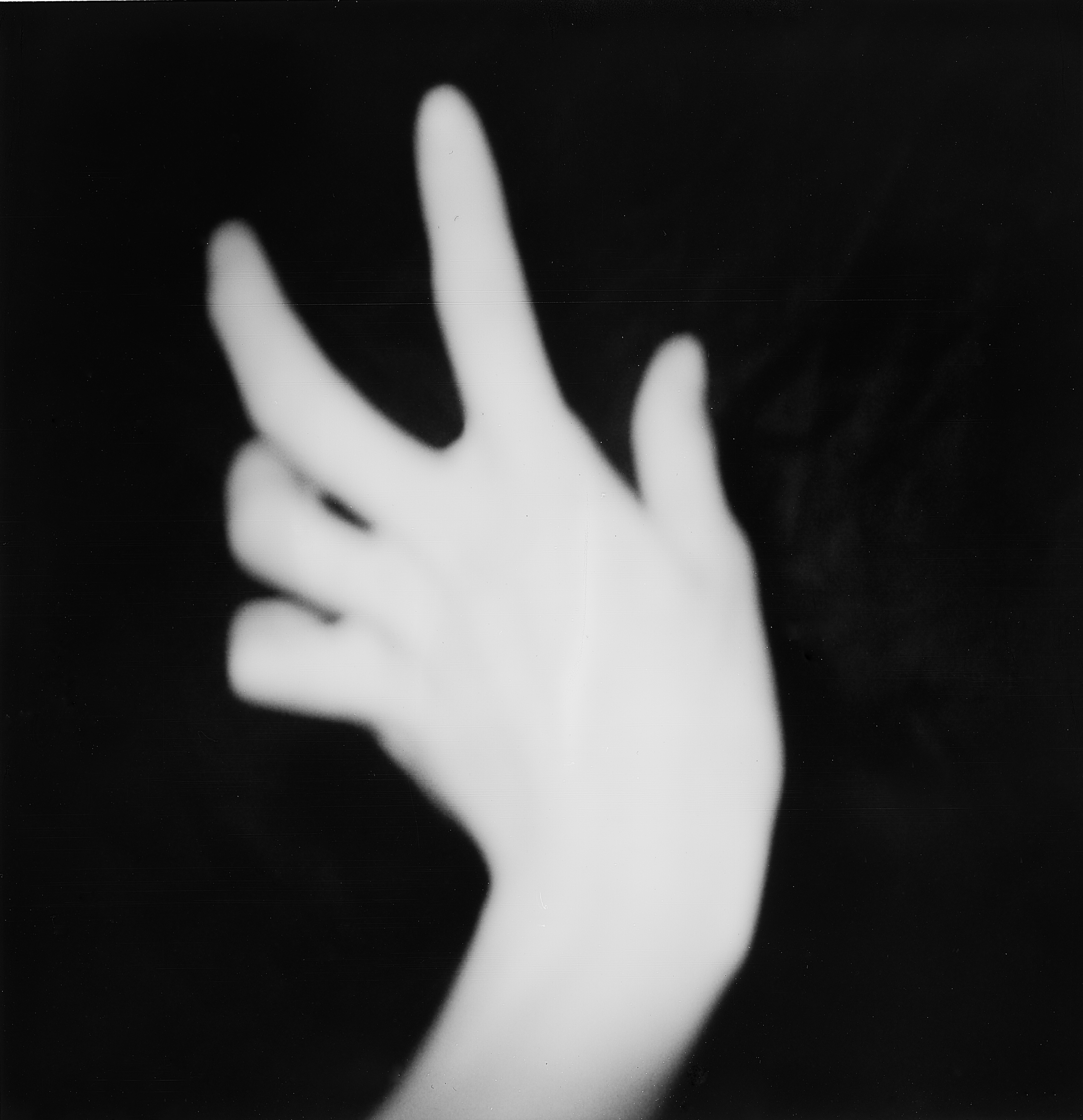 ROBIN_NISSEN_CHRYSALIDE_25