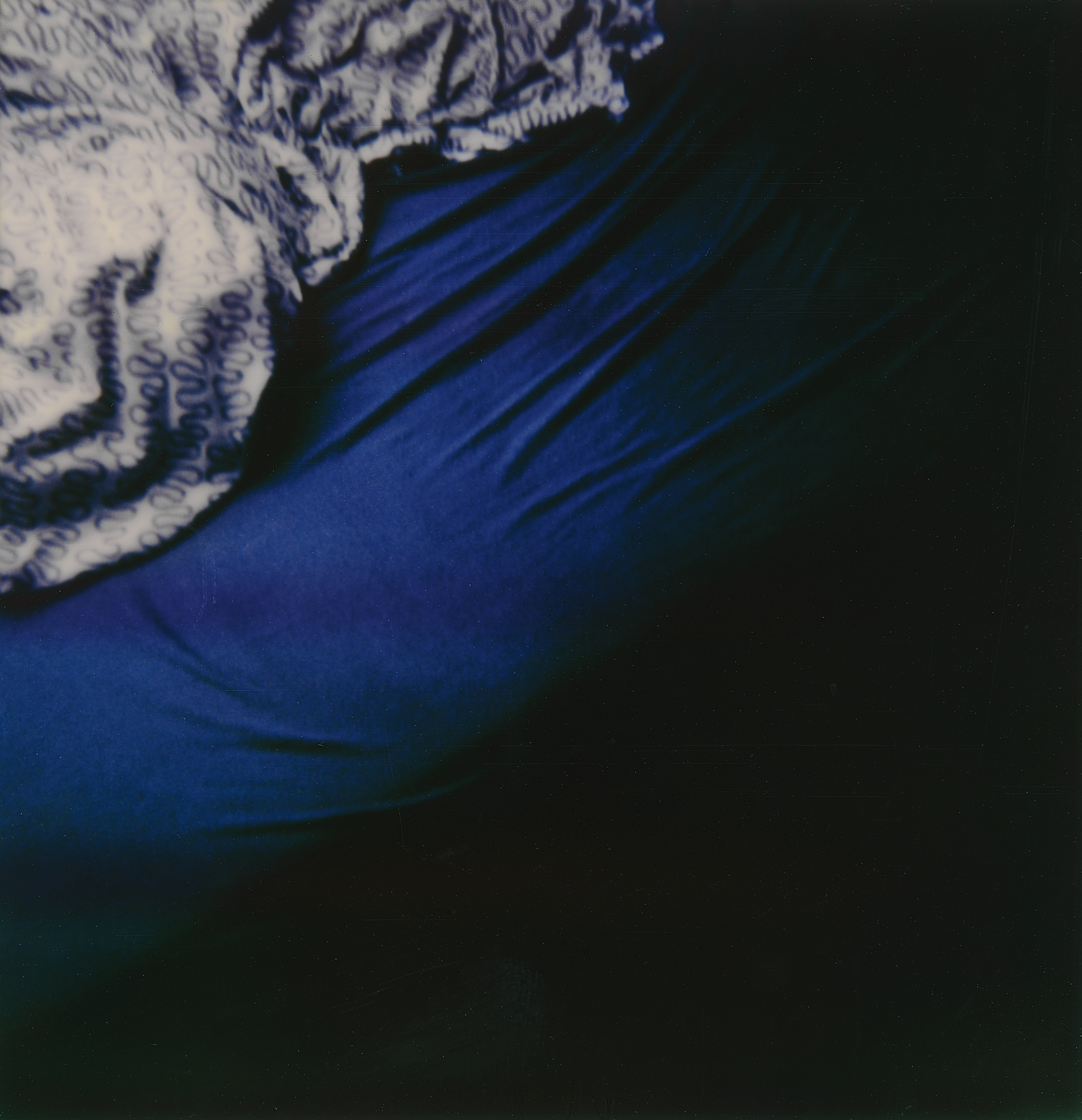 ROBIN_NISSEN_CHRYSALIDE_32