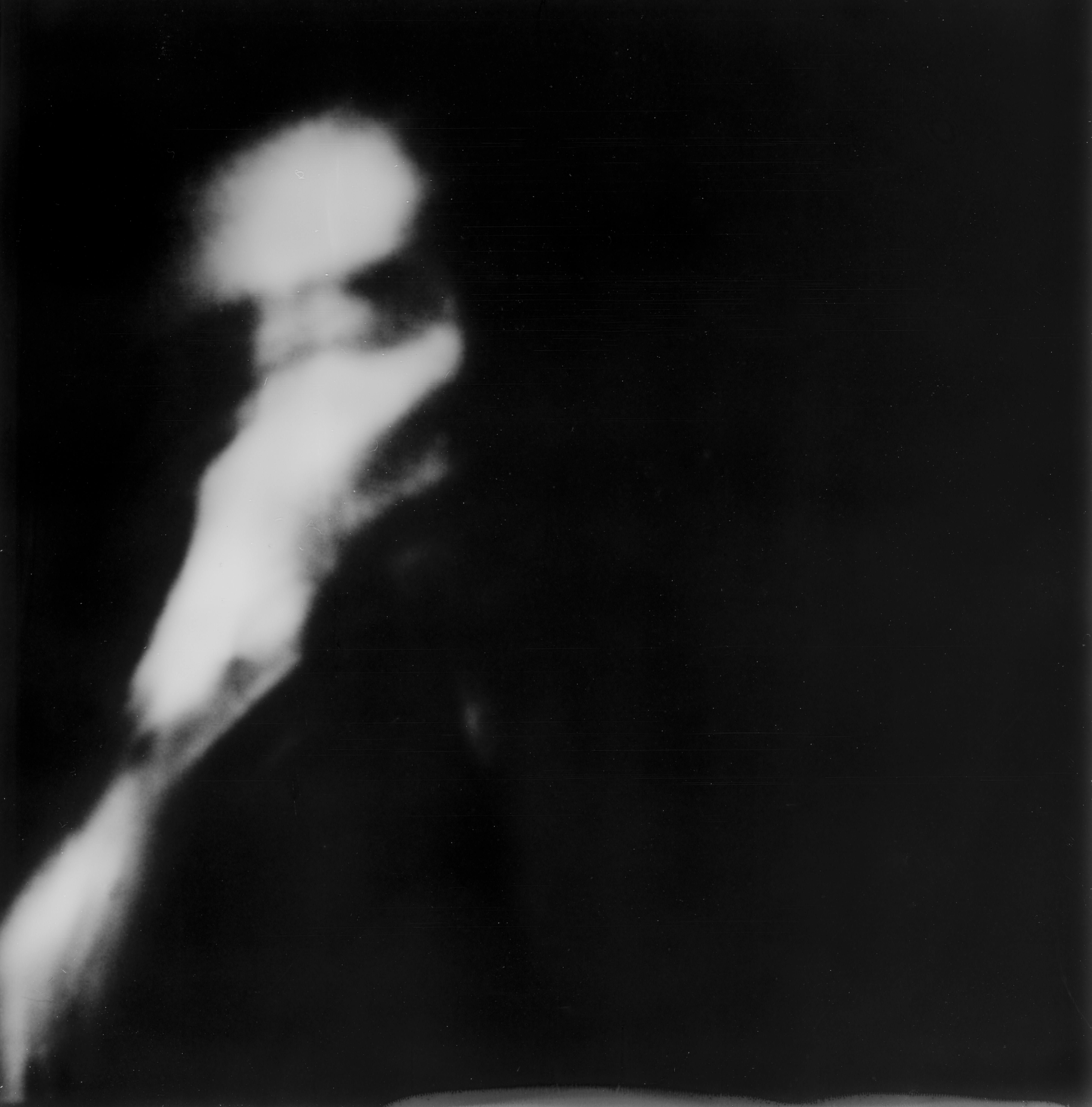 ROBIN_NISSEN_CHRYSALIDE_42